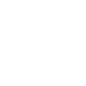 Archea Associati - Web Design & Development WordPress