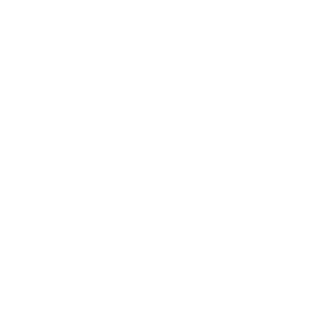 Rowenta - Custom Development & API Mobile Web Design & Development