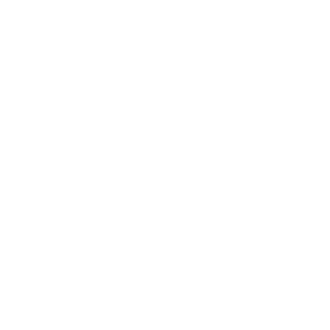 Hilton International LLC - Custom Development & API Web Design & Development WordPress
